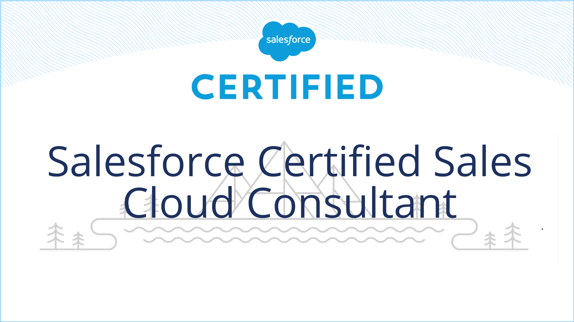 Salesforce Certified Sales Cloud Consultant